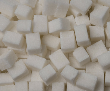 Sugar Industry