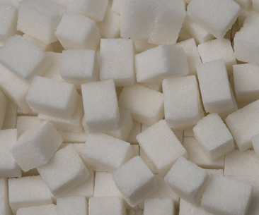 Sugar Industry